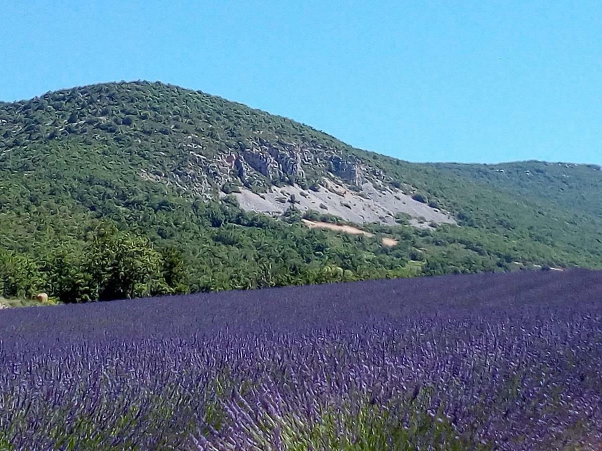 Gite La Fleur D Olivier Nyons Esterno foto
